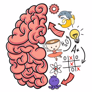 Brain Test